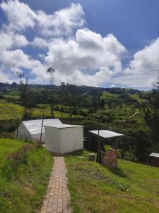 Priroda u blizini luksuznog šatora