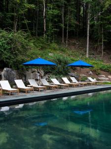 a group of chairs and umbrellas next to a swimming pool at Little Cat Lodge in Hillsdale
