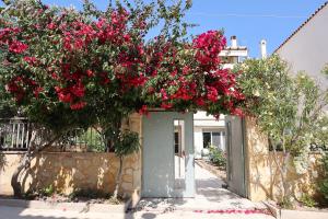 a house with pink flowers on the side of it at Nest Aegina Apartments in Perdika