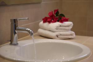 a bathroom sink with a faucet and red roses at Nest Aegina Apartments in Perdika