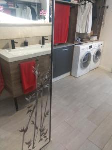 a bathroom with a sink and a washing machine at Chez cococuisine in Les Nouillers
