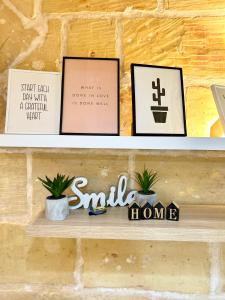 a shelf with some pictures and plants on it at MCC Suites Valletta in Valletta