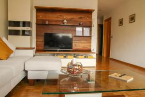 a living room with a white couch and a tv at La casa verde in Bled-Rečica