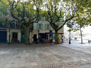 two trees on a sidewalk in front of a building at Les Toiles du Figuier in Espéraza