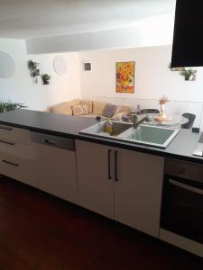 a kitchen with a sink and a counter top at Apartman T and T in Ražanac