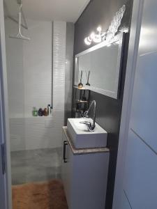 a bathroom with a white sink and a mirror at Apartman T and T in Ražanac