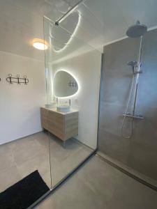 een badkamer met een douche, een wastafel en een spiegel bij Maison La Thiérache in Momignies