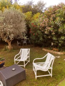 twee witte stoelen en een tafel in een tuin bij mas de l' Olivier in Arles