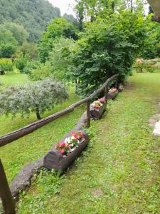 een rij banken met bloemen in het gras bij Casa vacanze Alloro in Mangia