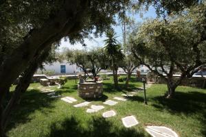 a grave yard with trees andestones in the grass at Pension Sofia in Parikia