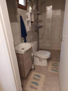 een badkamer met een toilet, een wastafel en een douche bij Atraktivna kuca sa saunom i grijanim jacuzzijem in Cres