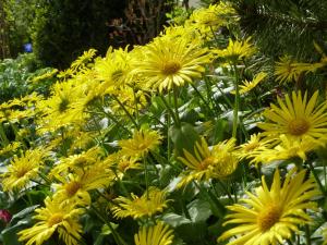 Foto dalla galleria di Bernerhof a Pottenstein