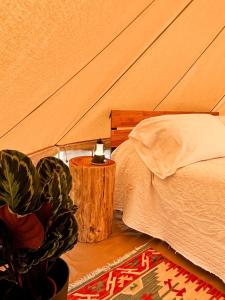 a bedroom with a bed and a table with a night stand at Stecadó Glamping in Dolceacqua