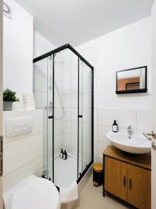 een badkamer met een douche, een toilet en een wastafel bij Sali - R4 - Apartmenthaus, WLAN, TV in Remscheid
