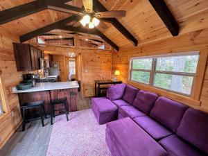 Twin MountainにあるBMV4 Tiny Home with sleeping loftのリビングルーム(キャビン内の紫色のソファ付)