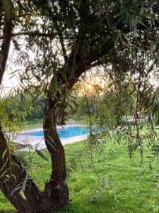 Gallery image of A Casa di Elena. in Arezzo