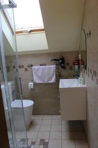 a bathroom with a toilet and a sink at Skiapartman in Batizovce +20 photos