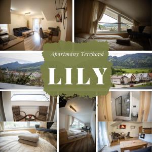 un collage di foto di un soggiorno e di un soggiorno di Apartmán Lily a Terchová