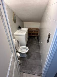een kleine badkamer met een toilet en een wastafel bij Spacieux 2 pièces, au calme in Le Tignet