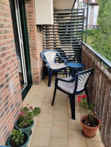 um pátio com duas cadeiras, mesas e plantas em Habitación doble em Astigarraga