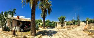 a courtyard with palm trees and a house at Villa Mara in San Lorenzo