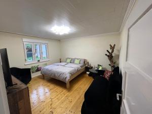 ein Schlafzimmer mit einem Bett und einem TV in der Unterkunft Meli´s Zirbenbett Ferienhaus in Bernstein
