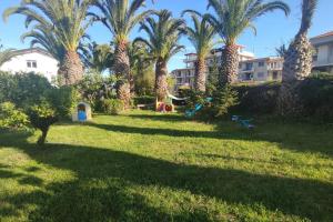een tuin met palmbomen en een gebouw bij 44 gatti Grazioso monolocale in San Salvo