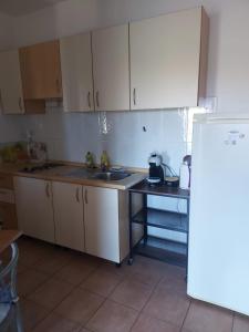 Kuchyň nebo kuchyňský kout v ubytování Apartmani Tereza