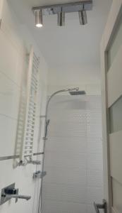 La salle de bains est pourvue d'une douche avec une porte en verre. dans l'établissement Apartment Błękitny, à Carolinensiel