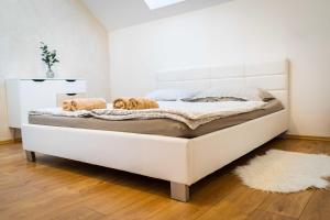 Posteľ alebo postele v izbe v ubytovaní Apartmán ZA-KA 3 ubytování Litovel
