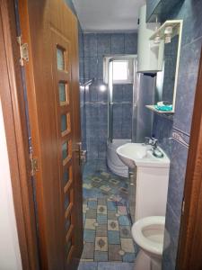 La salle de bains est pourvue de toilettes et d'un lavabo. dans l'établissement Apartament Adela, à Brezoi