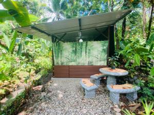 Zahrada ubytování YEJOS Jungle Lodge + 19 fotografií