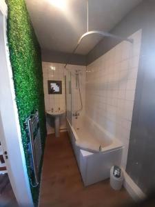 Plymouth Professionals Apartment في بلايموث: حمام مع حوض كبير وجدار أخضر