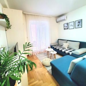 a living room with a blue couch and a plant at Apartment Atria in Vrnjačka Banja +30 photos