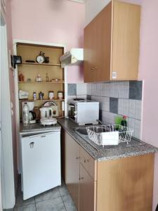 a kitchen with a white refrigerator and a sink at Sunny Room Lefkada in Lygia