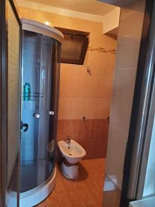 a bathroom with a sink and a shower and a toilet at Lake Ohrid Guesthouse "Villa Valentina" in Pogradec +25 photos