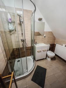 a bathroom with a shower and a toilet at Pokoje na Orzeszkowej in Kamień Pomorski