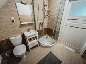 a bathroom with a shower and a toilet and a sink at Pokoje na Orzeszkowej in Kamień Pomorski +31 photos