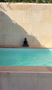 a shadow of a statue next to a swimming pool at Casa Padrina Burballa in Maria de la Salut