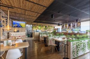 Ảnh trong thư viện ảnh của Hotel Velero ở San Antonio de Pereira +58 ảnh