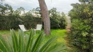 Vonkajšia záhrada v ubytovaní Playa Vacation House