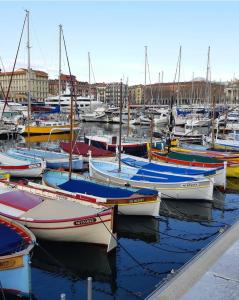 Un montón de barcos están atracados en un puerto en Cosy Appartement a Cote le Port@promenade en Niza