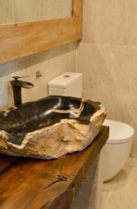 a bathroom with a stone sink and a toilet at Can Senio 3 in Tossa de Mar