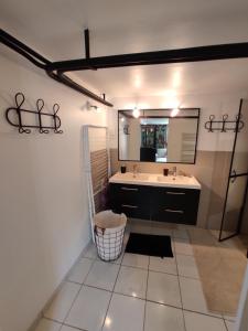 a bathroom with a sink and a mirror at Gîte "Aux Berges du Mont" in Pontorson +7 photos