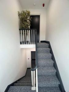 a staircase in a building with a potted plant at Stylish 5 bedroom /7bed apartment in Seacombe