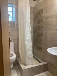 a bathroom with a toilet and a sink at Apartments by the sea Drasnice, Makarska - 15927 in Drasnice
