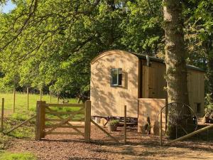 ein kleiner Schuppen neben einem Baum und einem Zaun in der Unterkunft Coachroad Shepherds Huts in Petworth