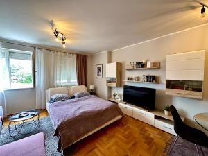Schlafzimmer mit einem Bett und einem Flachbild-TV in der Unterkunft Belgrade Apartment 2 in Zvezdara