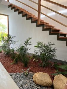 una escalera en una casa con plantas y rocas en Casa GAIA - Punta Sal en Canoas de Punta Sal
