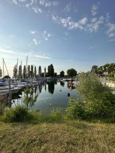 een jachthaven met boten in het water op een zonnige dag bij Lina in Uhldingen-Mühlhofen